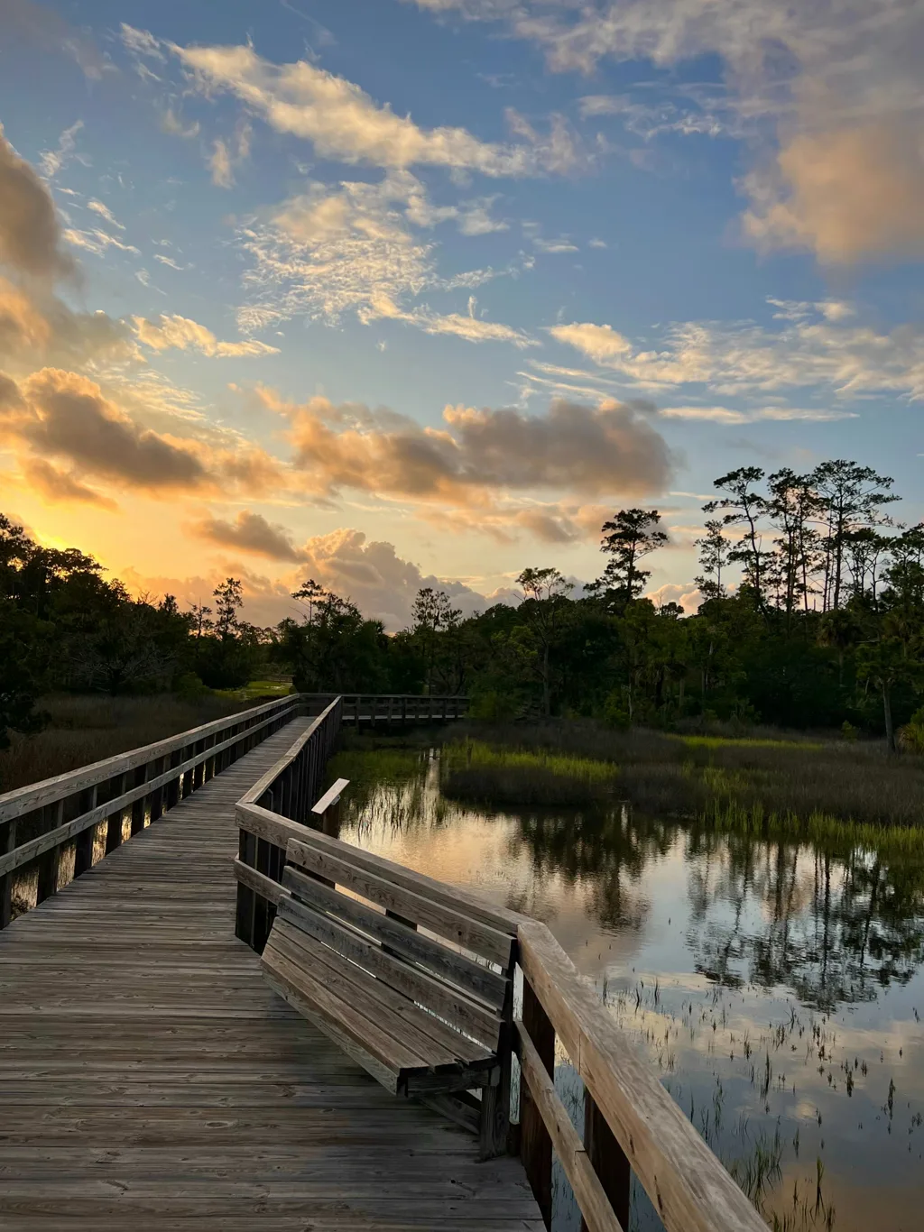 Wooden boardwalk crossing a coastal marsh on Skidaway Island, Georgia